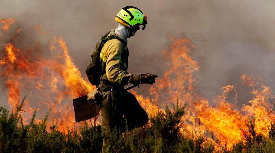 CCOO se reúne con los bomberos forestales de varias islas para actualizar el trabajo de la futura ley