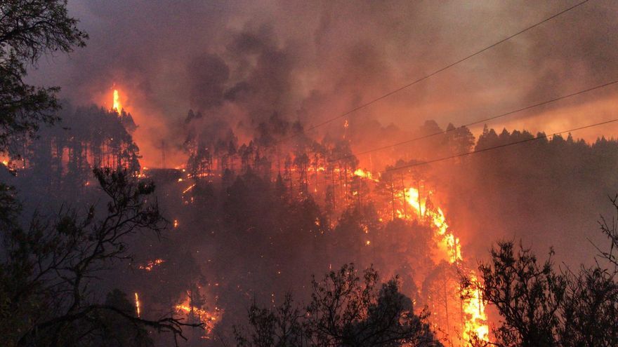 El Gobierno de Canarias asume la dirección del incendio forestal declarado en La Palma