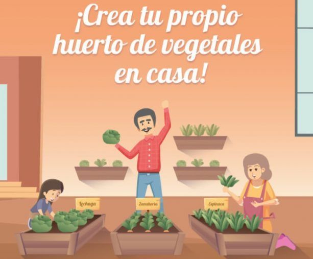 ¡Crea tu propio huerto de vegetales en casa!