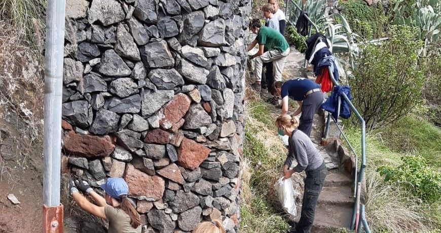 Jovenes alemanes voluntarios contra el rabo de gato en La Gomera