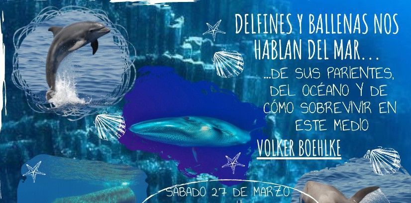 La asociación Procultura organizará una charla sobre cetáceos este próximo sábado en Hermigua
