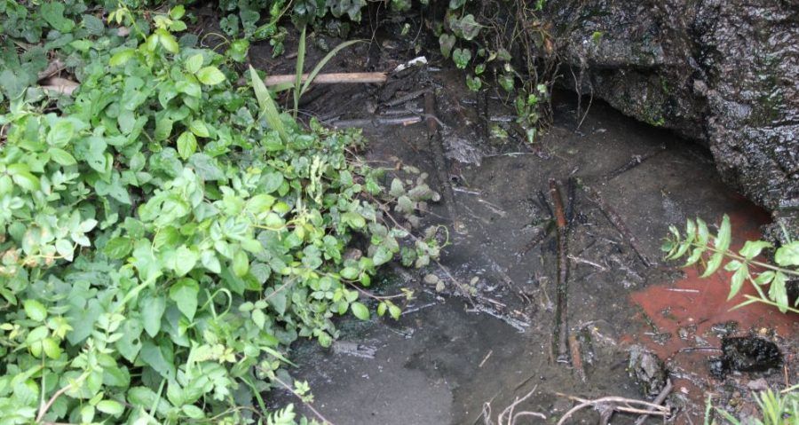 Iniciativa por La Gomera en Vallehermoso solicita solución para la depuración de aguas en Macayo