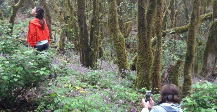 La prensa alemana elige La Gomera como destino turístico preferente