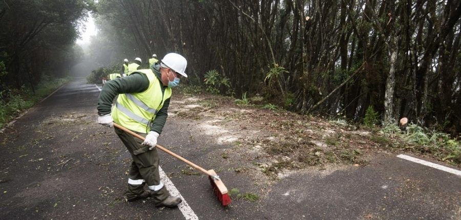 El Cabildo de La Gomera inicia los trabajos para la retirada de material combustible en los márgenes de la GM-2