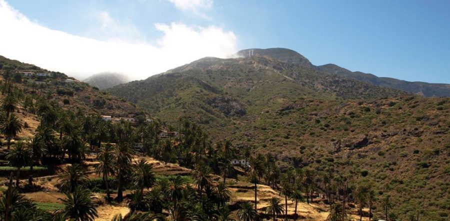 Vallehermoso confirma su apuesta por el producto local