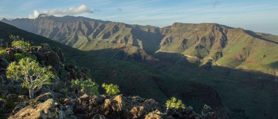 Espacios Naturales da luz verde a diversos proyectos viarios previstos en La Gomera