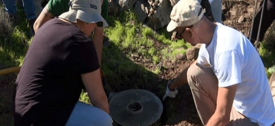 Se fomenta en La Gomera la reducción de la huella de carbono con una iniciativa de plantación de árboles