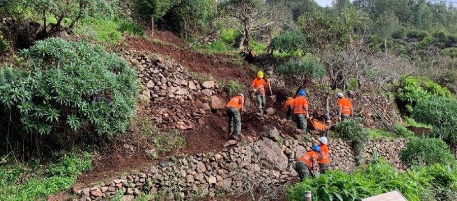 El Cabildo ejecuta más de 80 actuaciones para recuperar los bancales de La Gomera