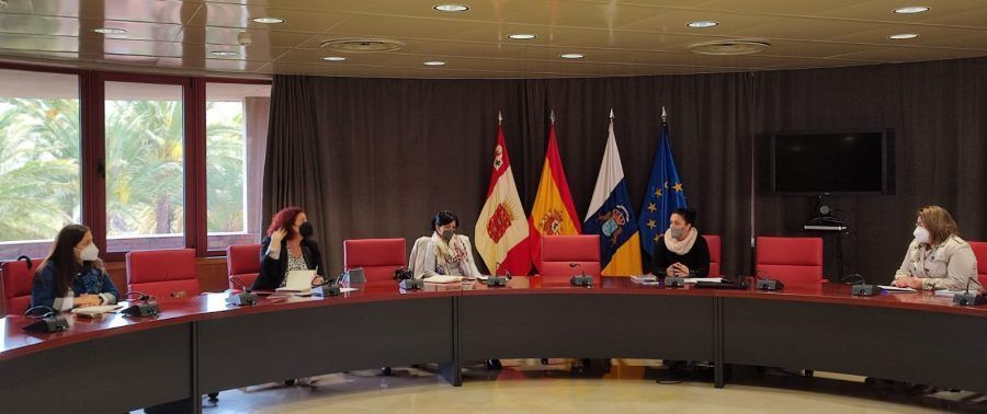 Cabildo y ayuntamientos de La Gomera unifican criterios de actuación en materia de política social