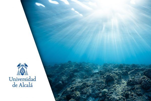 Voluntarios de la Universidad de Alcalá desarrollaran una campaña de recogida de residuos en La Gomera del 22 al 24 de abril