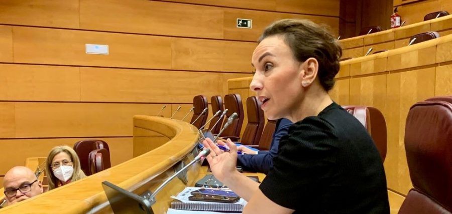 Olivia Delgado defiende la importancia de la PLOCAN para el desarrollo tecnológico y de las energías renovables marinas