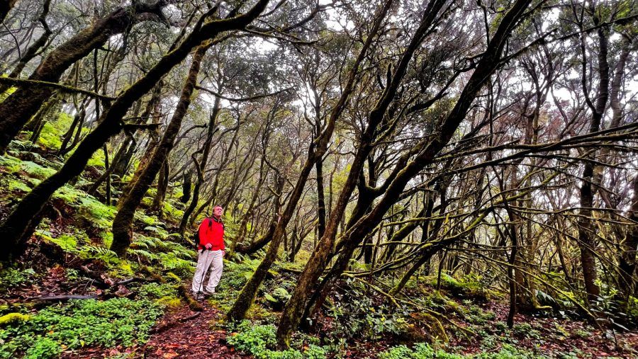 La Gomera registra un lunes de transición con cielos cubiertos antes de un ascenso térmico generalizado