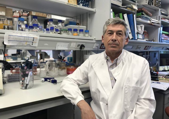 “No sabemos si el virus de la viruela del mono ha cambiado o se ha introducido en un entorno social con más transmisión”