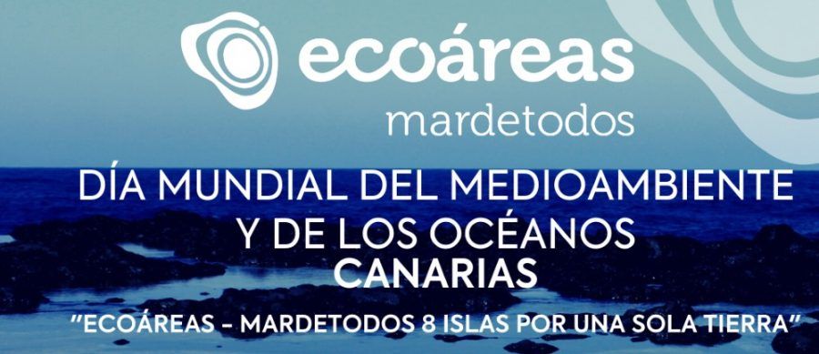 La vida de los charcos litorales de La Gomera, objeto de la actividad conmemorativa del día mundial del medio ambiente