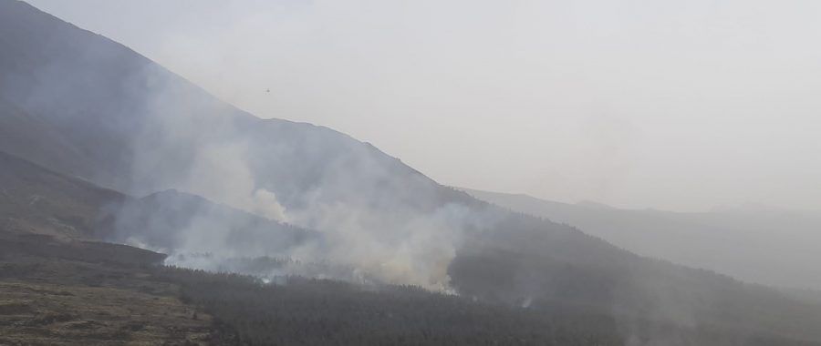 La evolución favorable de las tareas de extinción del incendio de Tenerife permite el realojo de la mayoría de los vecinos evacuados