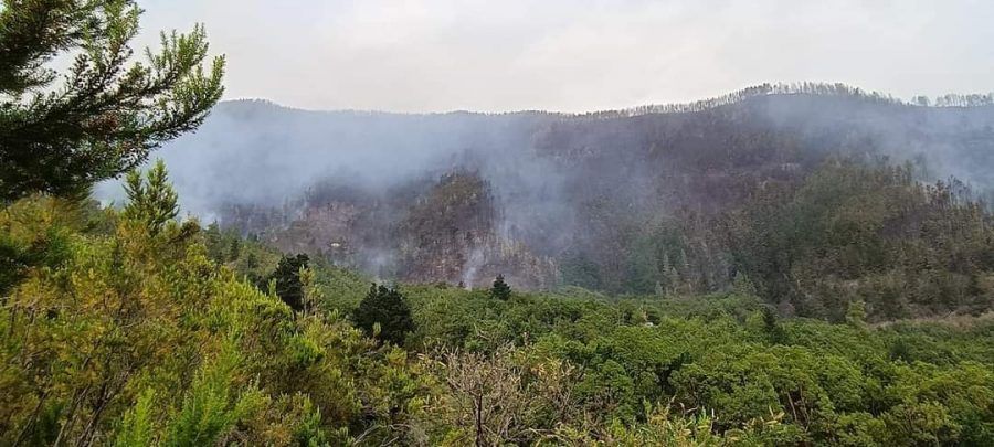 El incendio de Tenerife está en fase de estabilización pero aún activo y sin control