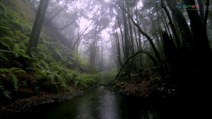 La Gomera cumple 10 años como Reserva de la Biosfera y será sede del Comité Español del programa MaB