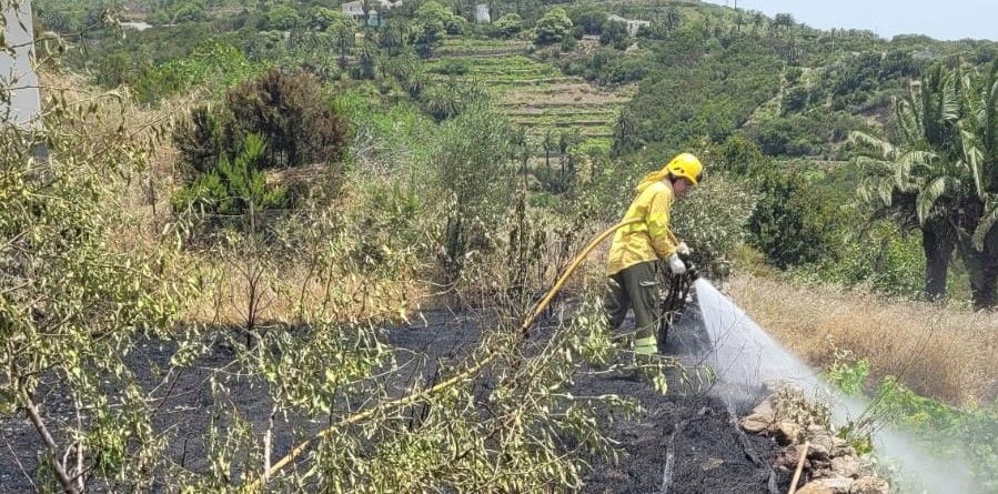 Extinguido un conato de incendio declarado este domingo en Las Hayas