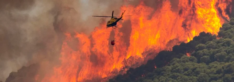 El fuego arrasa España | Los incendios calcinan miles de hectáreas en Cáceres, Málaga, Zamora, Salamanca y Galicia