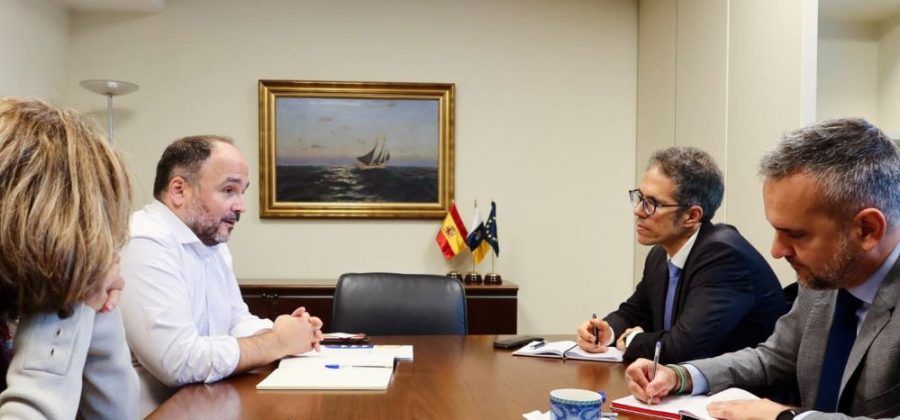 Canarias aborda con la Comisión Europea la posibilidad de un nuevo marco legislativo eléctrico
