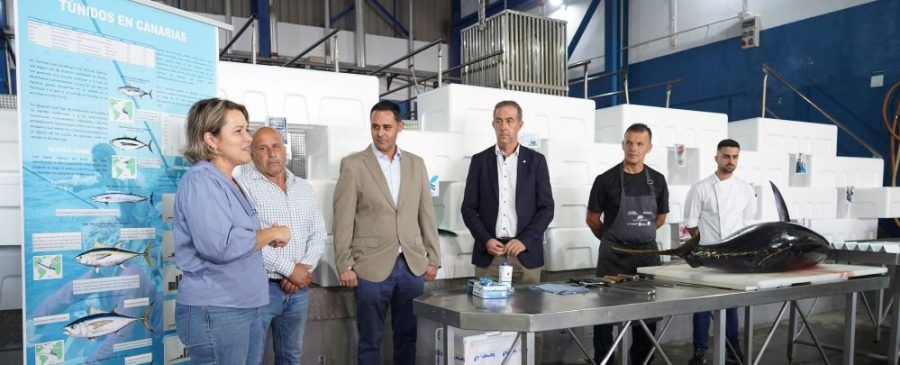 Gobierno de Canarias y Ashotel impulsan el consumo de túnidos en los establecimientos turísticos de las islas