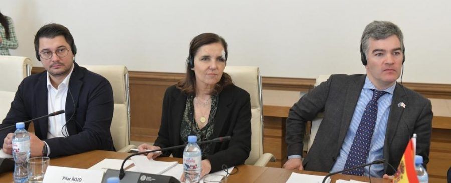 Chinea analiza el impacto de la invasión de Ucrania en Georgia junto a una delegación de senadore