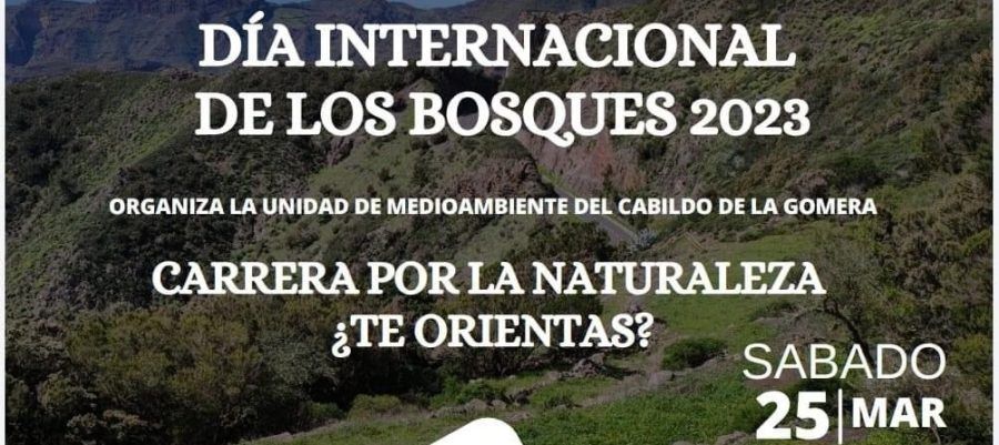 El Día Internacional de los Bosques se celebra en La Gomera con una jornada de convivencia en Las Nieves