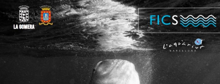 La Casa de Colón acoge una exposición fotográfica en el marco del Festival Internacional de Cortos Submarinos