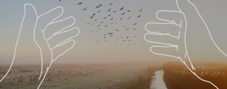 CaixaBank y la Fundación La Caja de Canarias abren este jueves la ‘Convocatoria de Medioambiente 2023’