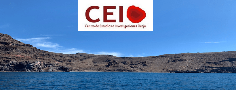 Capítulo 2. La mayoría de los votantes que conforma el censo electoral de la gomera no quiere a ASG