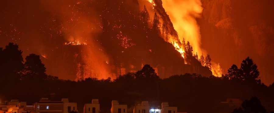 El incendio de Tenerife se extiende ya por ocho municipios y afecta a 3.273 hectáreas