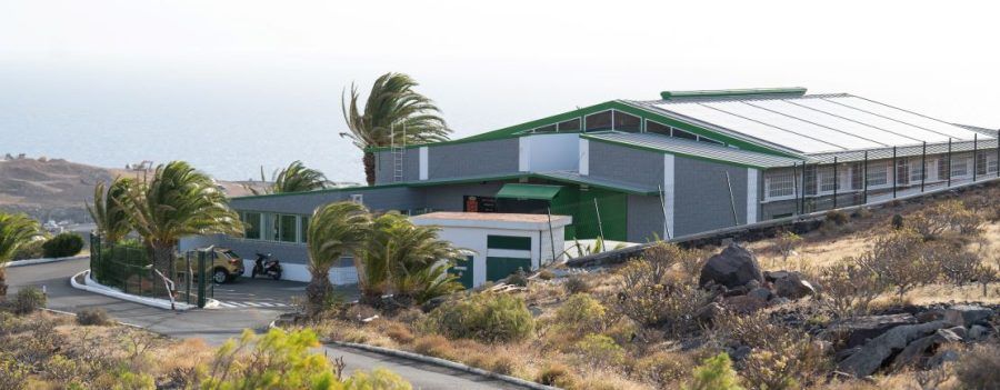 El Cabildo de La Gomera refuerza las tareas de mantenimiento y conservación del Matadero Insular