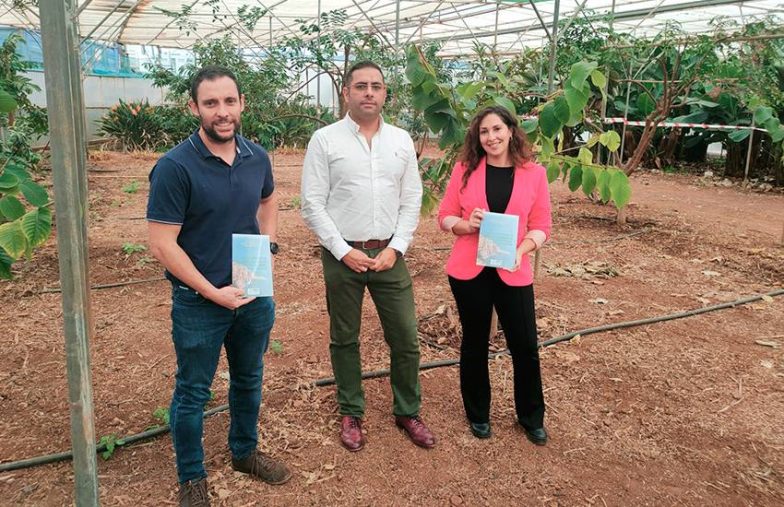 Un estudio de la ULL revela que la huella hídrica del aguacate es casi seis veces mayor que la del plátano