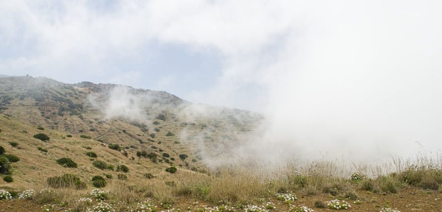 El Cabildo de La Gomera adjudica el suministro de captadores de niebla para el proyecto de adaptación climática