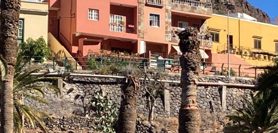 Iniciativa por La Gomera (IxLG) señala el preocupante deterioro que muestra el palmeral de Las Orijamas