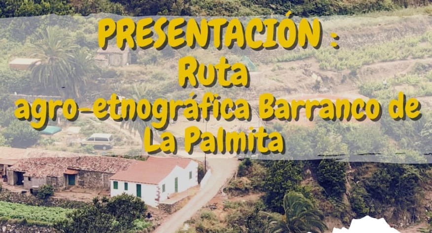 Agulo acoge una ruta agro-etnográfica en el Barranco de La Palmita
