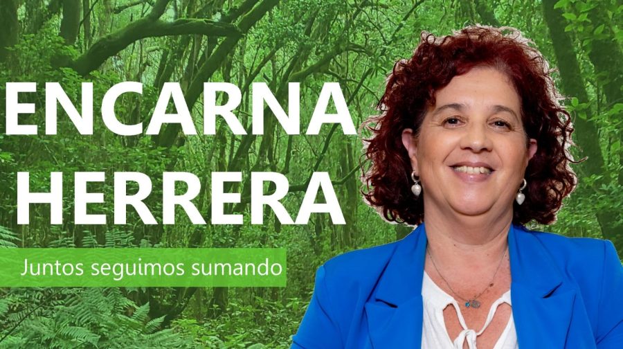 Dimite la concejal de Nueva Canarias en Hermigua, Encarna Herrera