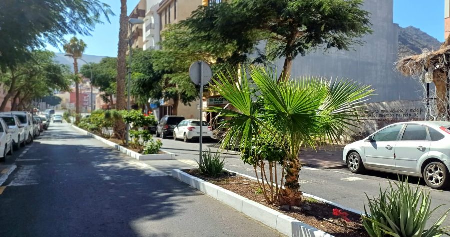 San Sebastián de La Gomera apuesta por especies nativas y ornamentales para renovar las zonas ajardinadas