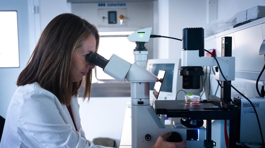 Fundación DISA lanza la octava convocatoria de sus Premios a la Investigación Biomédica en Canarias