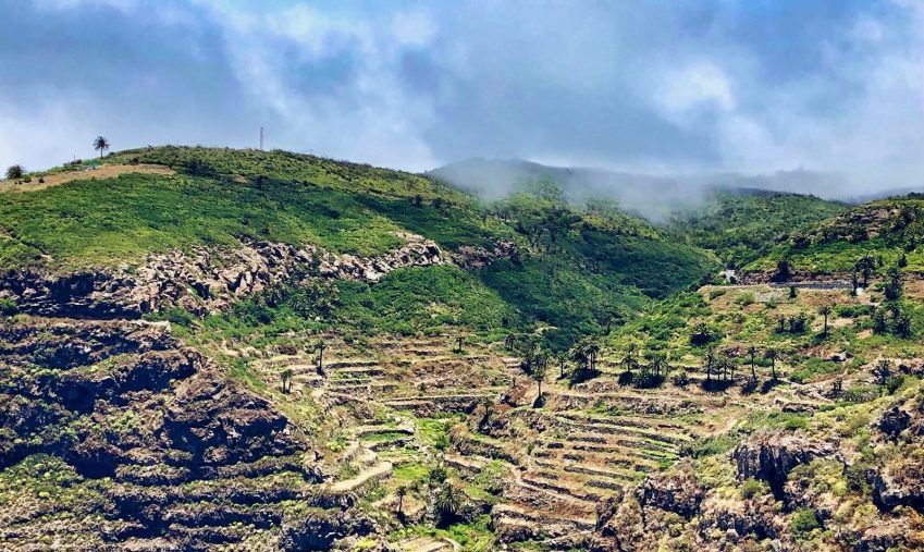 La Gomera será punto de encuentro nacional para abordar la agroecología desde el ámbito municipal