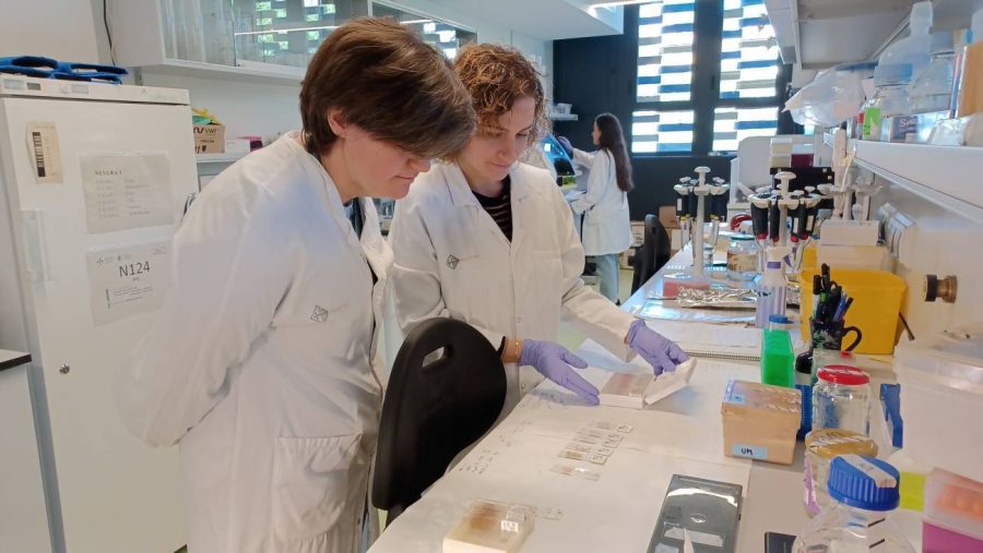 Investigadores españoles identifican una nueva forma genética del alzhéimer