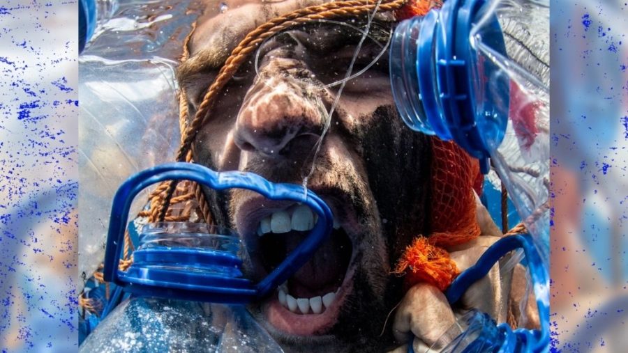 La Casa de Colón acoge la exposición fotográfica ‘Gritos del Azul’, de Cristina Camacho