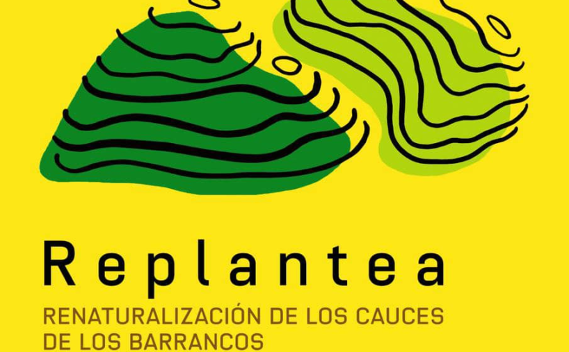 El Cabildo de La Gomera crea un espacio participativo para coordinar la eliminación de la caña en los barrancos de Hermigua y Valle Gran Rey