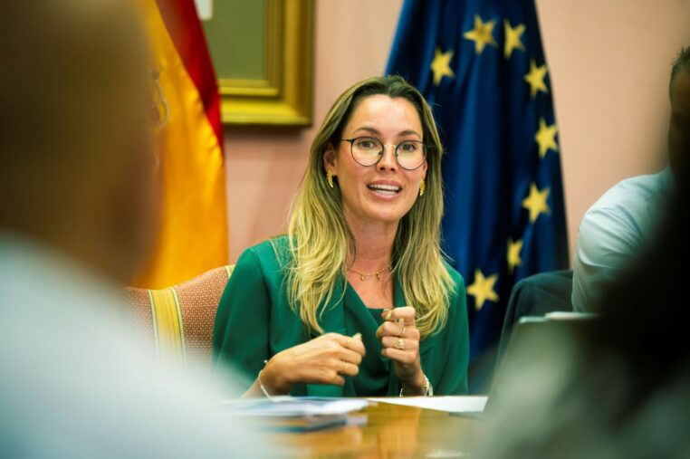 Trasladan a cabildos y a ayuntamientos las gestiones con el Estado para agilizar los pagos de las subvenciones al transporte de viajeros