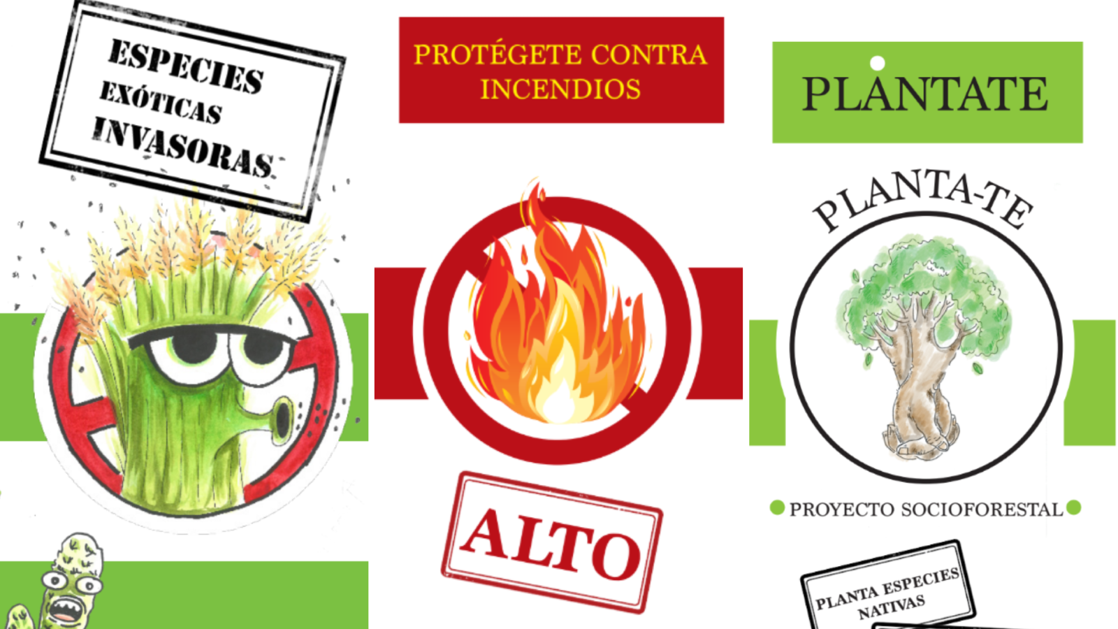 La Unidad de Medio Ambiente impulsa la concienciación ambiental ante incendios y especies invasoras