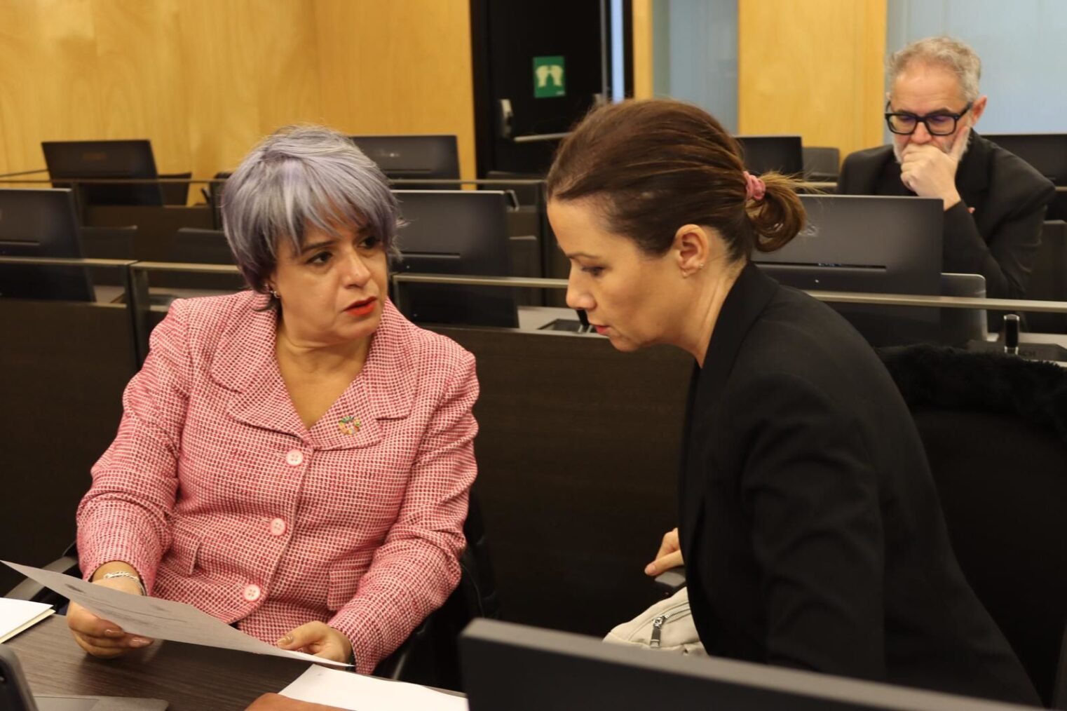 Esther Rodríguez defiende en el Congreso una iniciativa relativa a la Regulación y Control de la accesibilidad de las personas con discapacidad