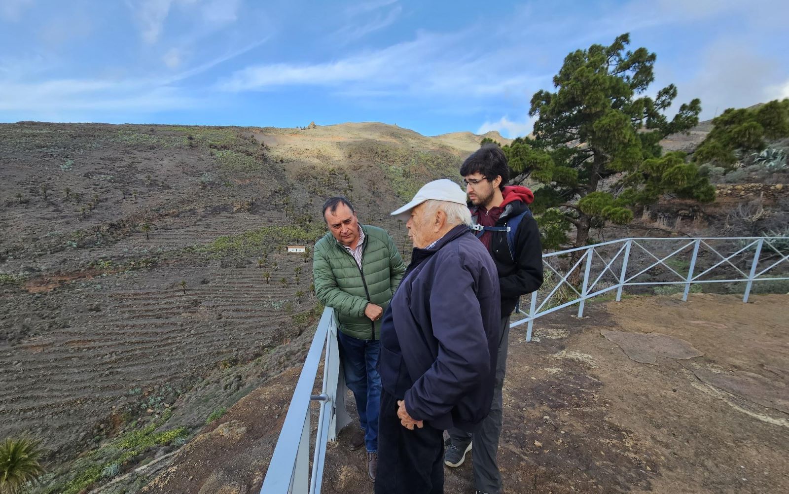 El Ayuntamiento de Alajeró activó un plan para la conservación del Drago de Agalán, el más antiguo de La Gomera