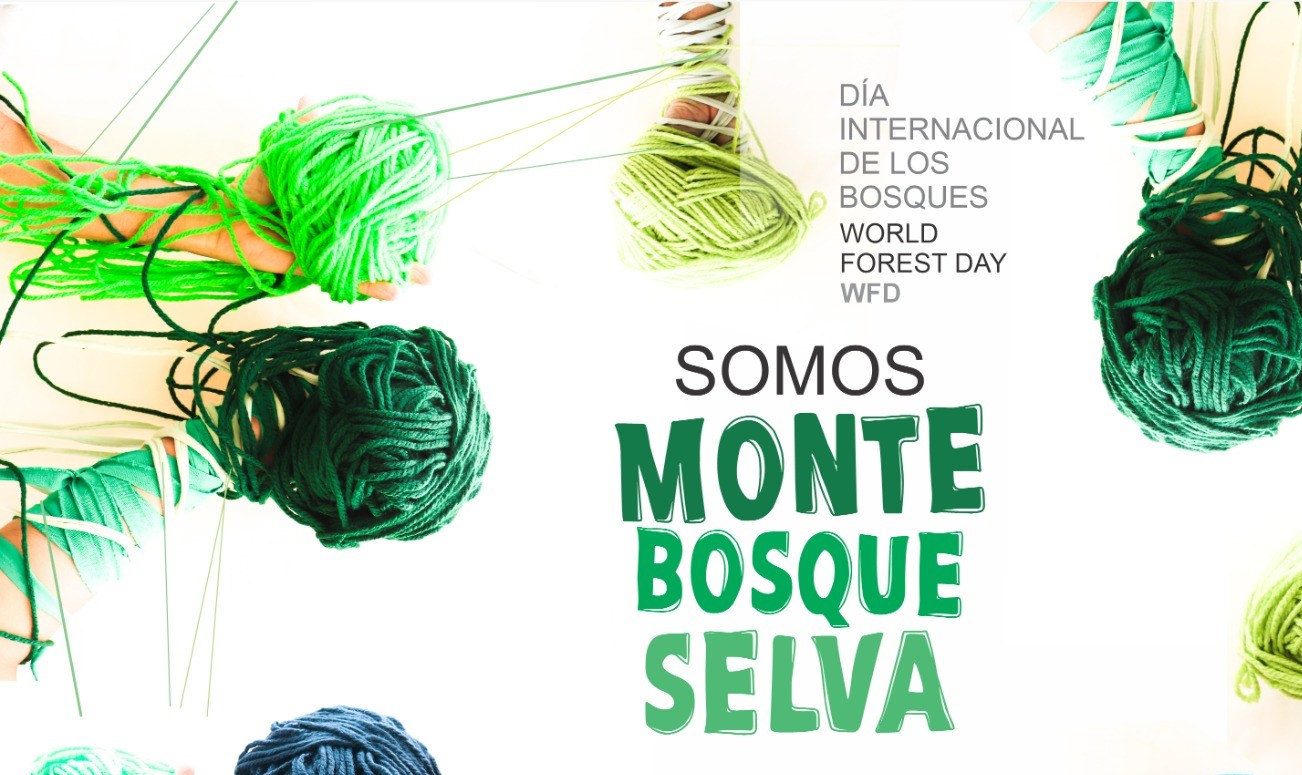 El 22 de marzo: Vallehermoso celebra el World Forest Day para concienciar sobre la conservación de los bosques