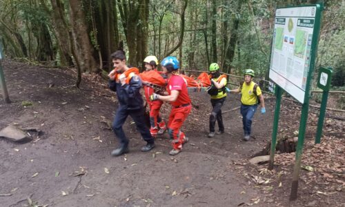 Una senderista herida de carácter moderado tras una caída en La Gomera ...