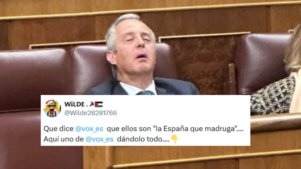 La reprimenda al tesorero de Vox tras quedarse dormido en el Congreso: «La España que madruga»